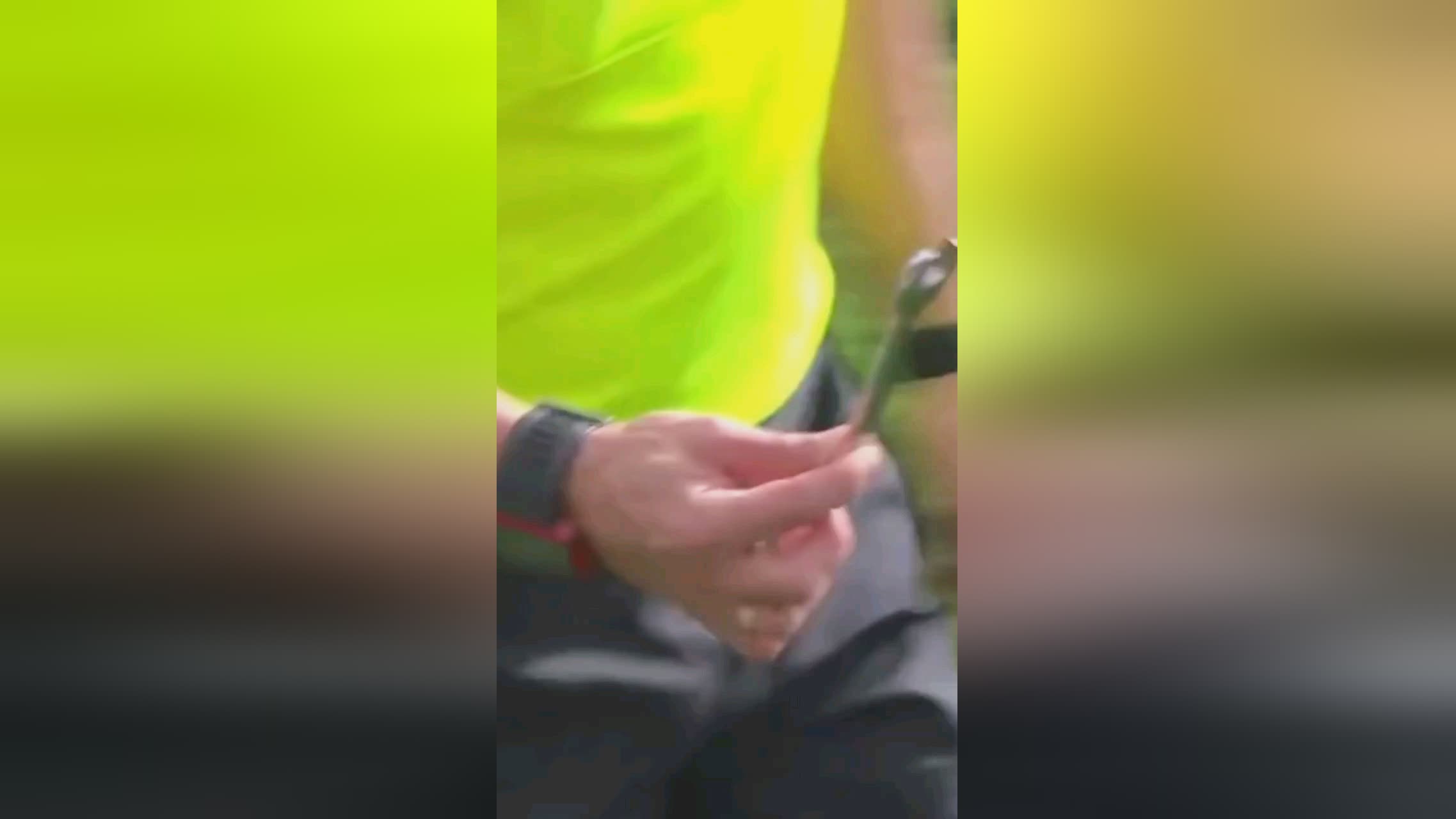 洛卡